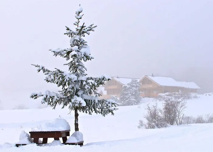 Casa de Férias Les Lupins *